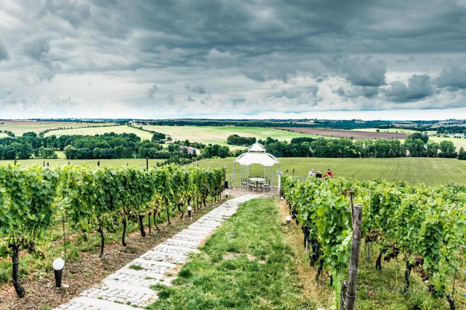 Pension Bella Vista - Winzerhof Golk Meißen Exteriör bild