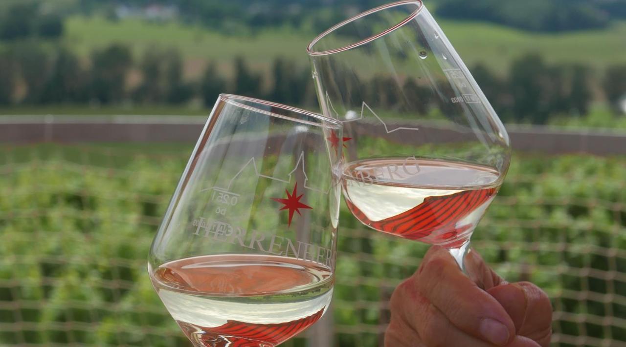 Pension Bella Vista - Winzerhof Golk Meißen Exteriör bild