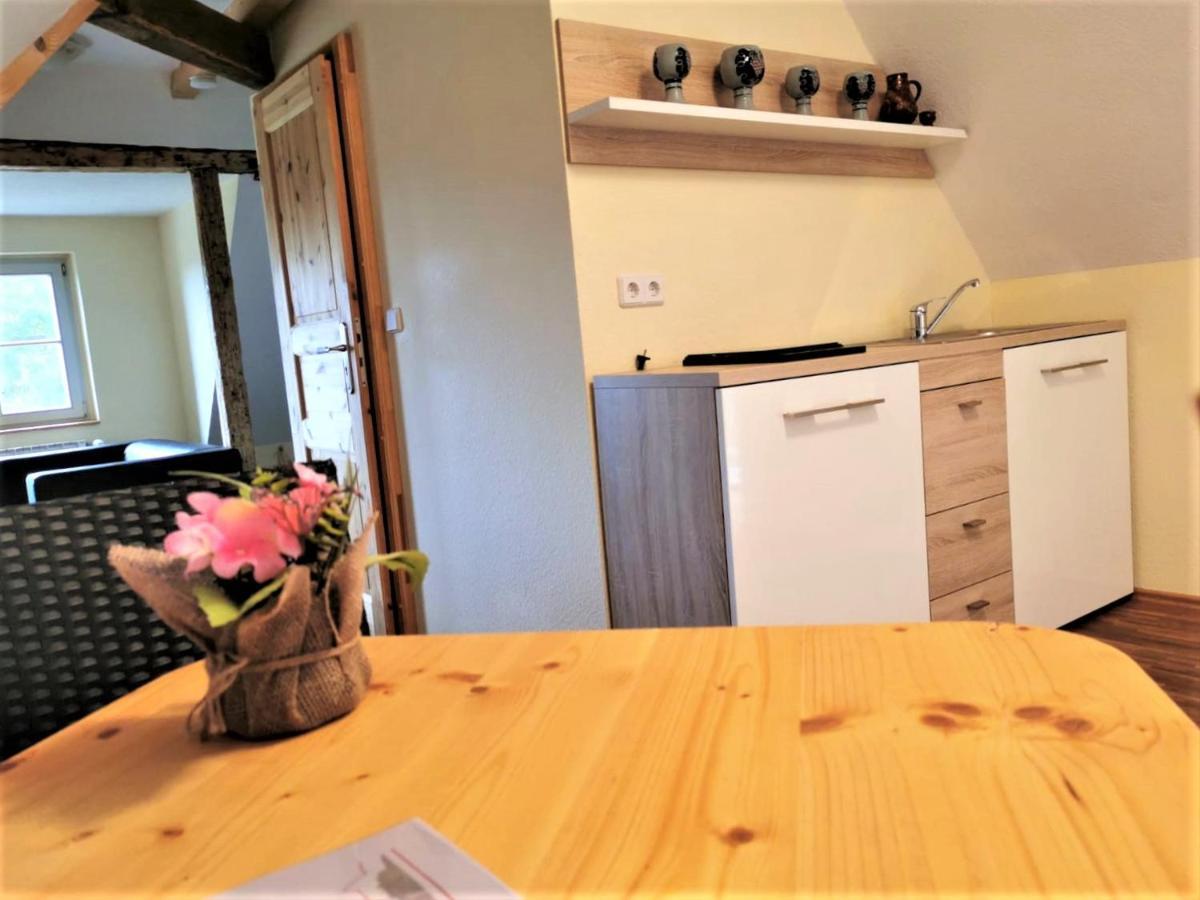 Pension Bella Vista - Winzerhof Golk Meißen Exteriör bild