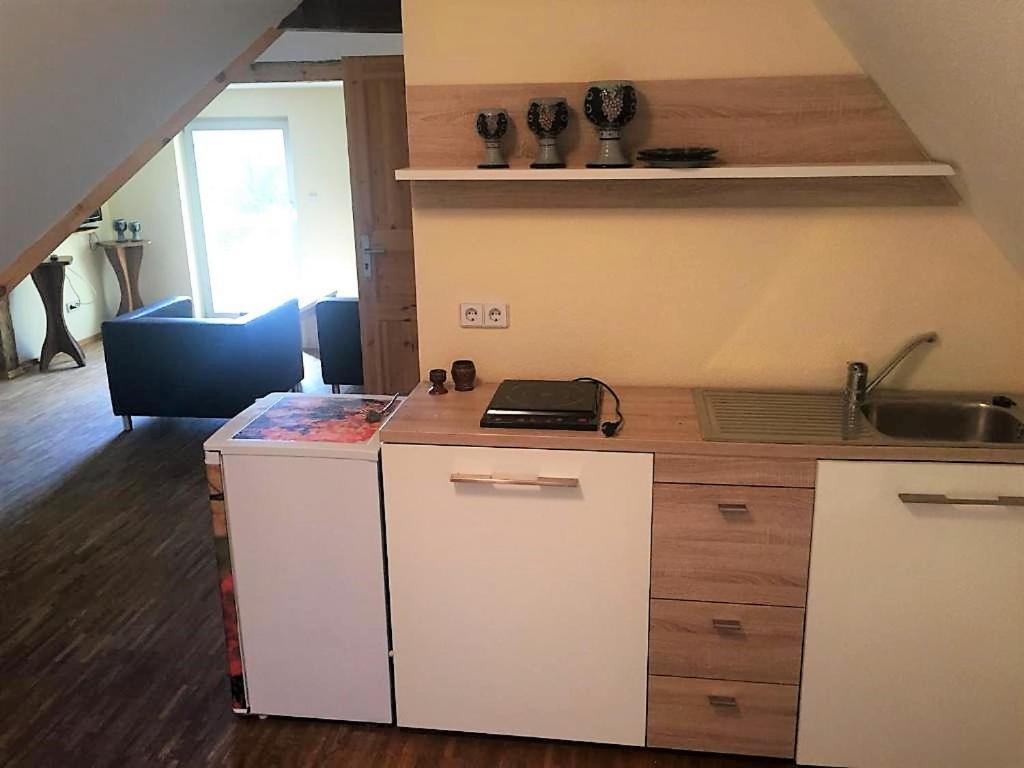 Pension Bella Vista - Winzerhof Golk Meißen Exteriör bild