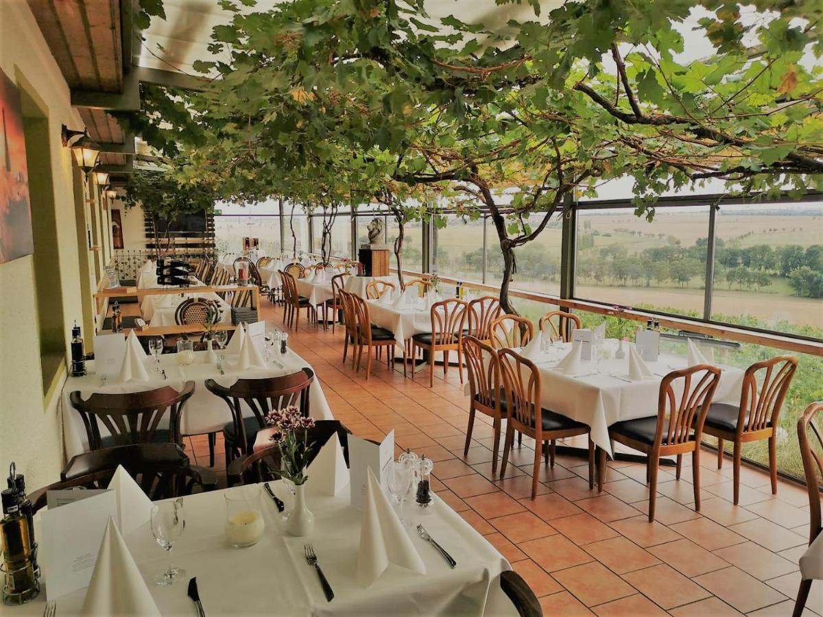 Pension Bella Vista - Winzerhof Golk Meißen Exteriör bild