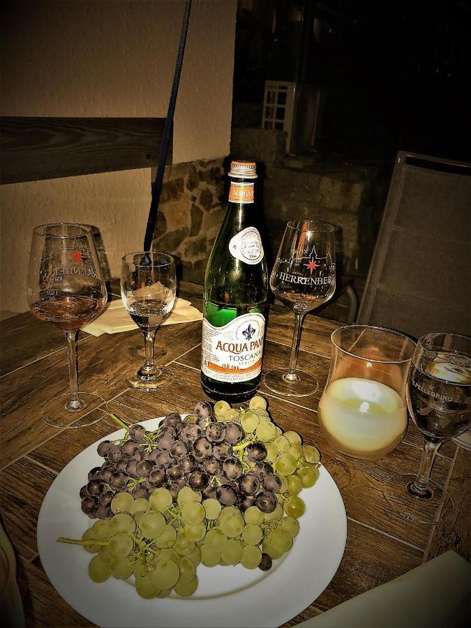 Pension Bella Vista - Winzerhof Golk Meißen Exteriör bild