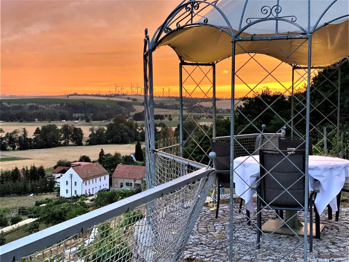 Pension Bella Vista - Winzerhof Golk Meißen Exteriör bild