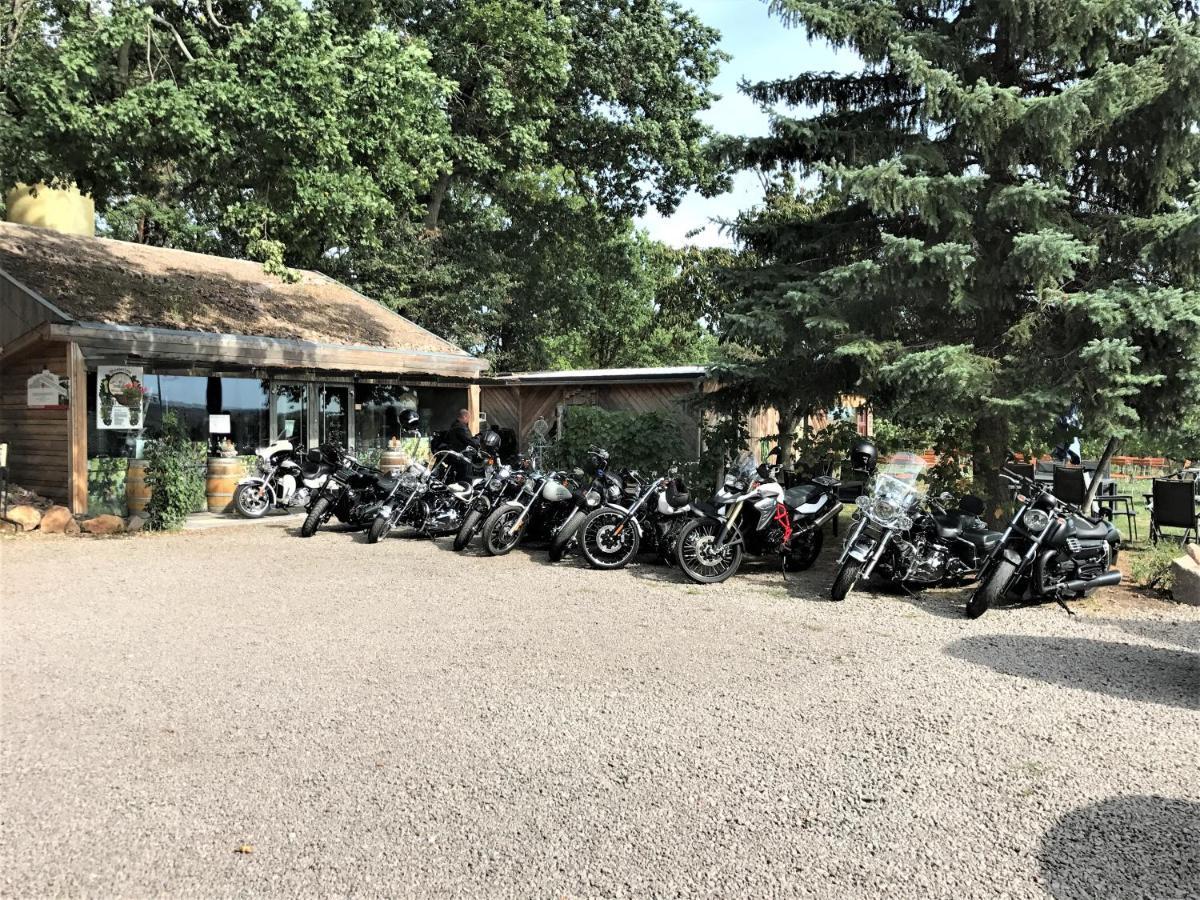 Pension Bella Vista - Winzerhof Golk Meißen Exteriör bild